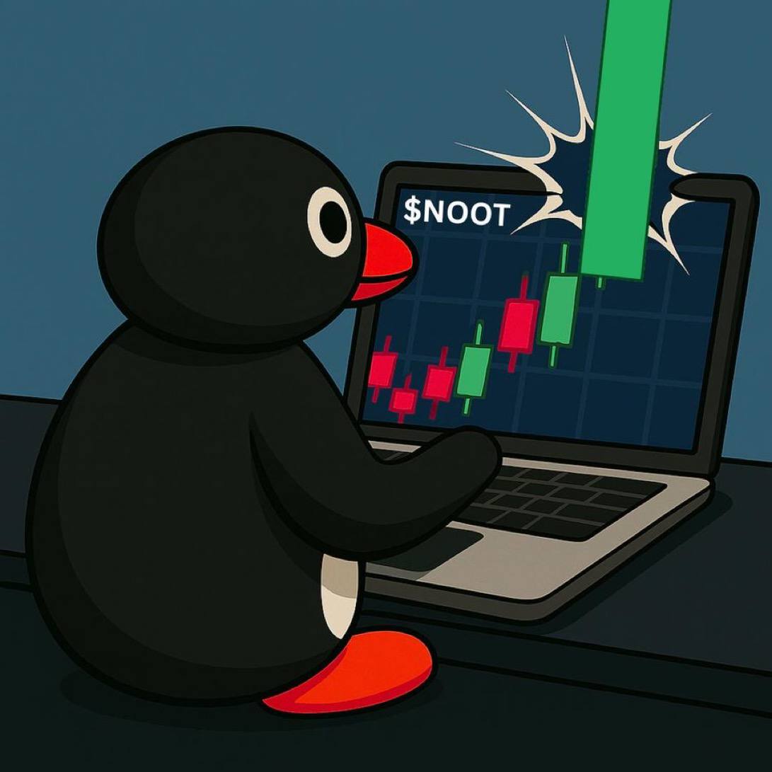 noot watching the $NOOT chart explode